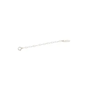 Detachable Chain Extender / 2" Silver