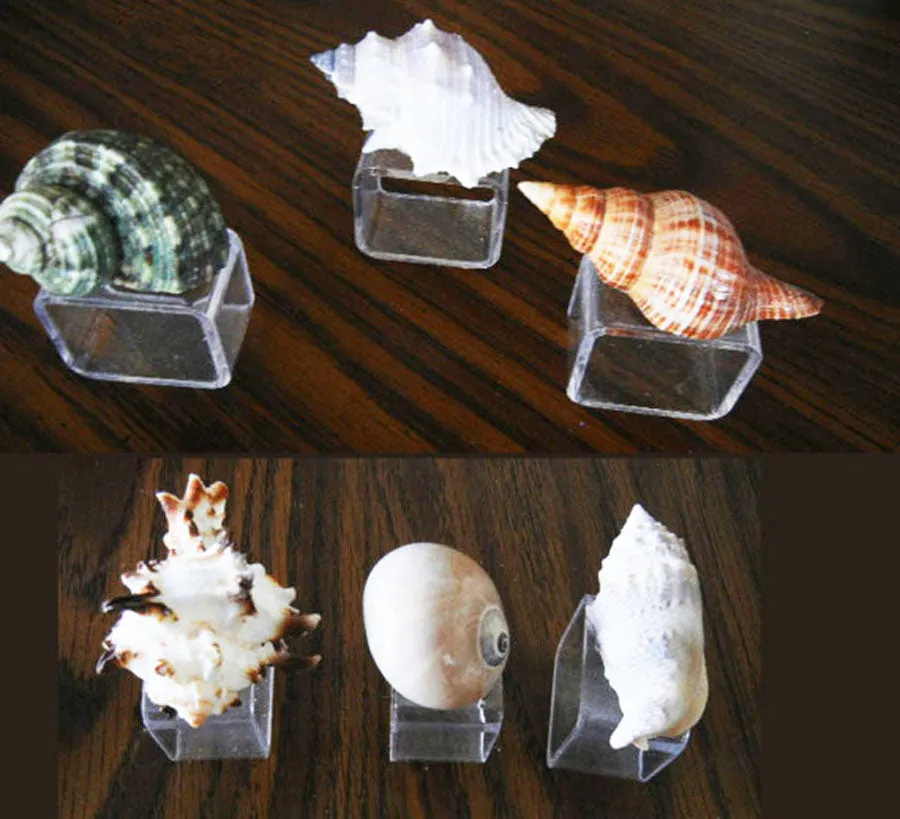 GORGEOUS AND UNIQUE VINTAGE SEA SHELL NAPKIN RINGS NAPKIN HOLDERS